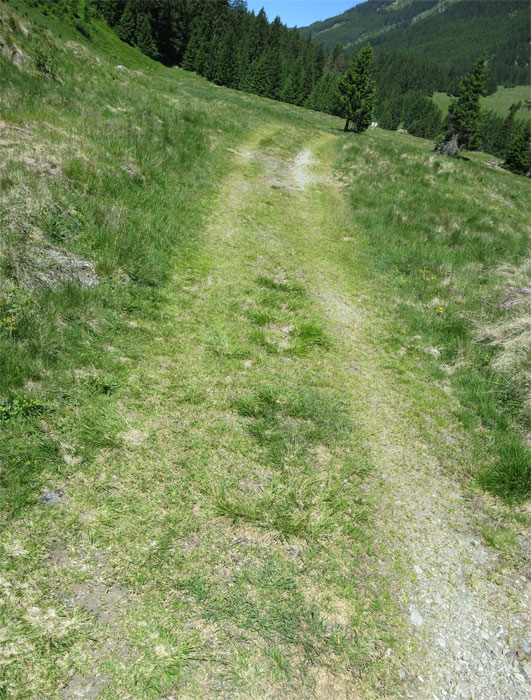 Alp-Novai-Herbizid-Trail ...