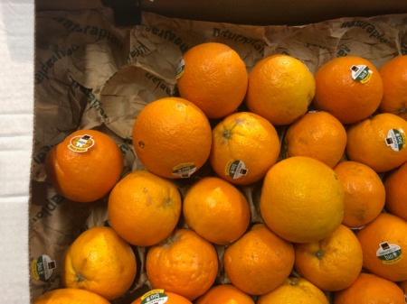 Eine Orange mit konventionellem Kleber liegt in der Bio-Kiste. Sind alle übrigen wirklich Bio?
